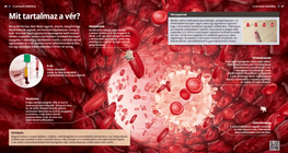 ¿De qué se compone la sangre?