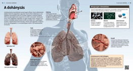 Los efectos del fumar