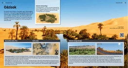 Los oasis