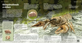 El tardígrado y el cangrejo de río, animales con cutícula de quitina