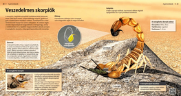 Las arañas, artrópodos tejedores