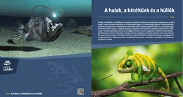 Los peces, los anfibios y los reptiles