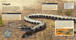 Las serpientes, reptiles ondulantes