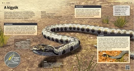 Las serpientes, reptiles ondulantes