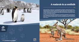 Las aves y los mamíferos