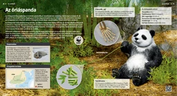 El panda gigante