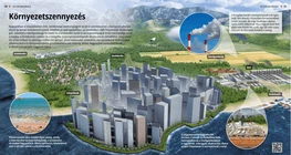La contaminación