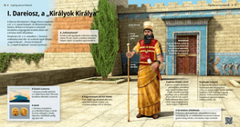 Darío I, el “Rey de Reyes”