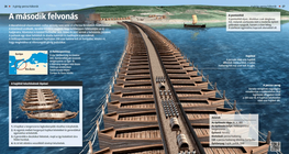 La segunda guerra médica