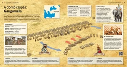 Un ataque decisivo: la batalla de Gaugamela