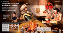 La pipa de la paz y el tomahawk: el jefe indio