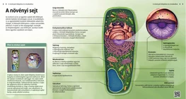 Las células vegetales