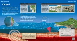 Los tsunamis