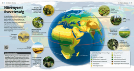 Las zonas de vegetación