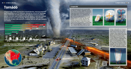Los tornados