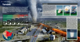 Los tornados