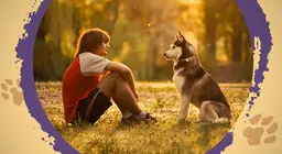 Podemos entender a "linguagem" dos animais?