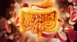 10 cosas que deberías saber sobre el tracto gastrointestinal humano
