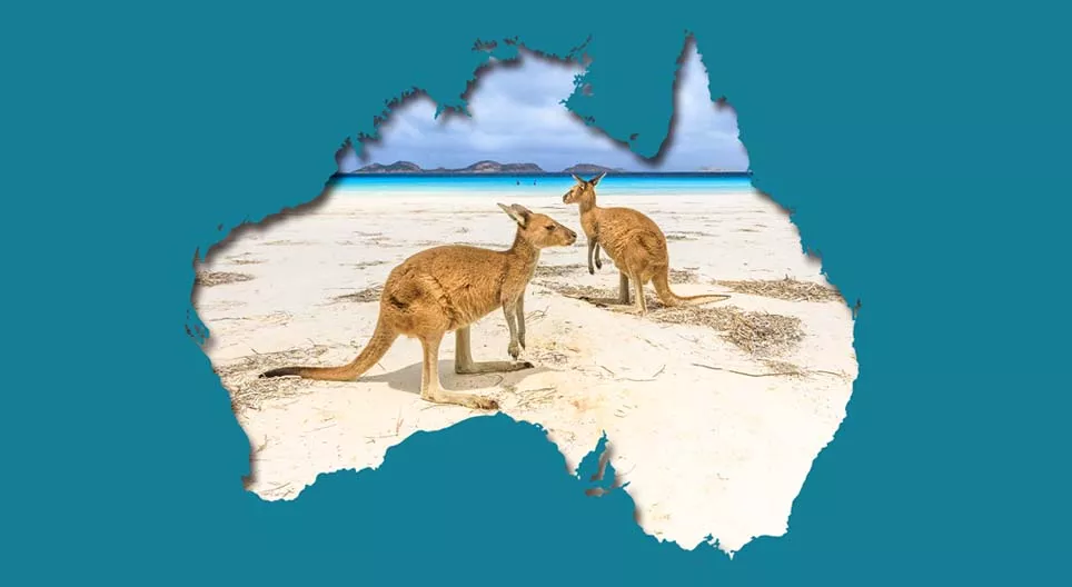 Environmental problems in the land of kangaroos