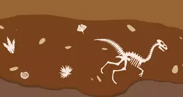 How did life develop on Earth?