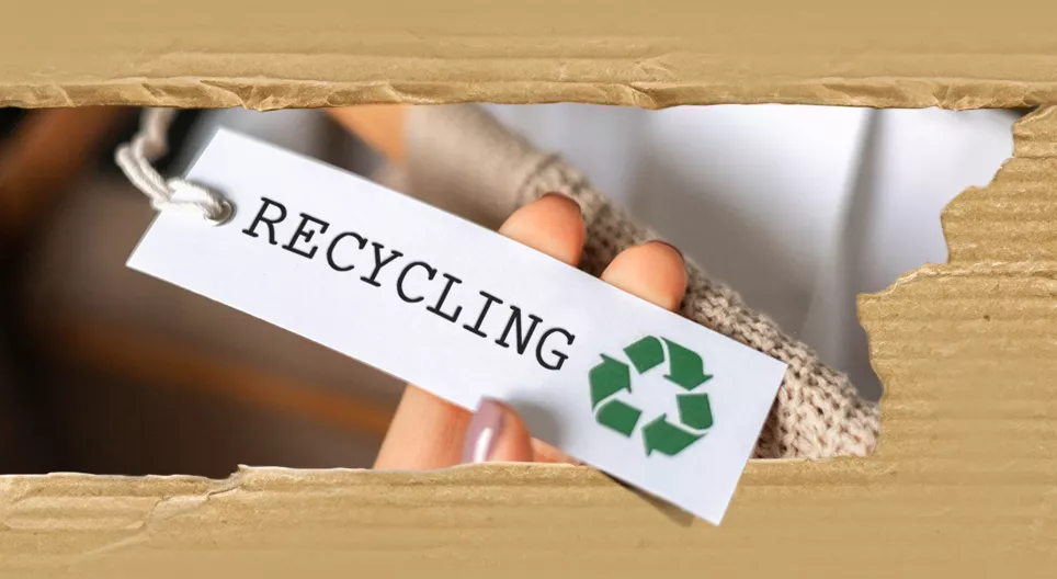 Recycling