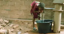 La cólera, el asesino que se esconde en el agua