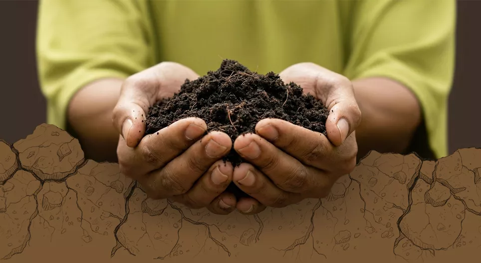 Soil under threat