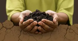 Soil under threat