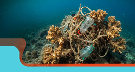 Conciencia ambiental