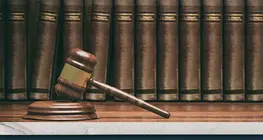 The pillars of democracy – the branches of state powers