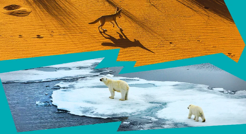 Why are there deserts and ice sheets on Earth?