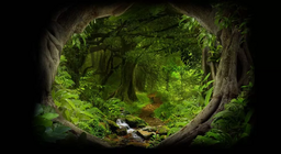 En el interior de la selva