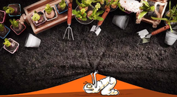 Como muda a vida no jardim?