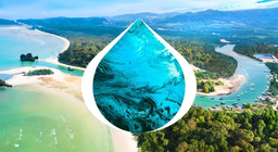 Desde la fuente hasta la desembocadura