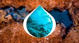 El desarrollo de los lagos