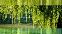 Plantas da orla marítima