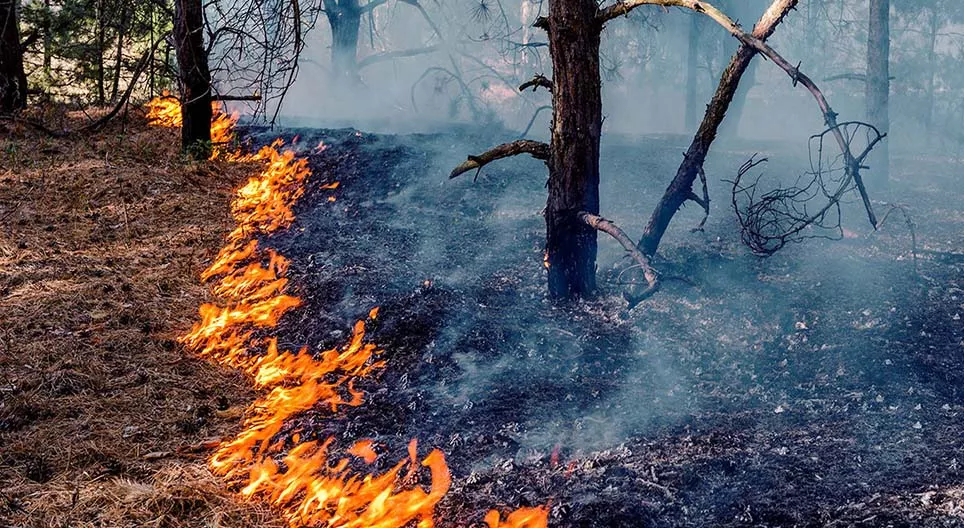 How long have we used fire?