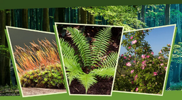 En la luz y en la sombra