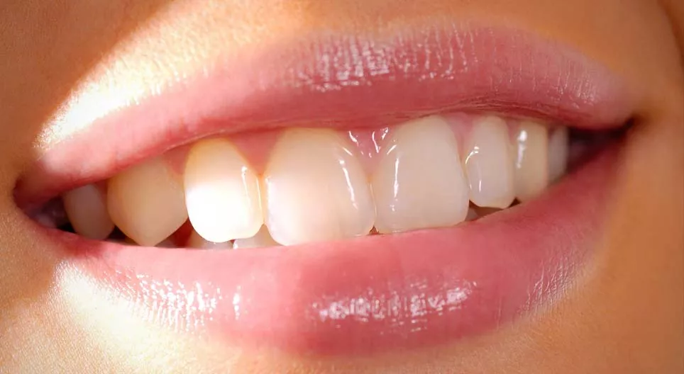 What do we know about teeth?