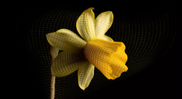 Os segredos do Universo em expansão