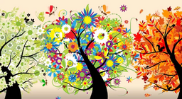 ¿Qué son las estaciones del año?