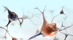 ¿Cuáles son las características del tejido nervioso?