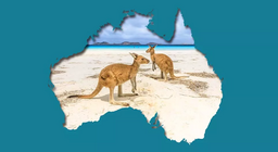 Problemas ambientales en la tierra de los canguros