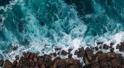 ¿Qué tipo de movimientos caracterizan el agua de los océanos?