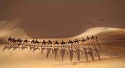 ¡Únete a la caravana!