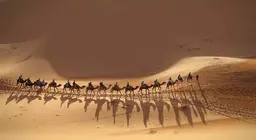 ¡Únete a la caravana!