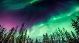 Vamos assistir a aurora boreal!