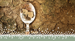 Crisis alimentaria global