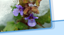 Estado de la materia, cambios de estado