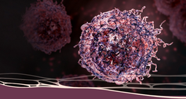 The dreaded diagnosis: Cancer